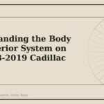 Understanding the Body and Exterior System on the 2013-2019 Cadillac XTS - GM Parts Club