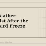 Cold Weather Checklist After the First Hard Freeze (2024) - GM Parts Club