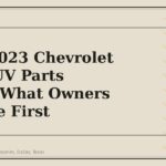 2022-2023 Chevrolet Bolt EUV Parts Guide: What Owners Replace First - GM Parts Club