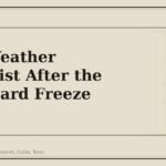 Cold Weather Checklist After the First Hard Freeze (2025) - GM Parts Club