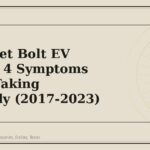 Chevrolet Bolt EV Brakes: 4 Symptoms Worth Taking Seriously (2017-2023) - GM Parts Club