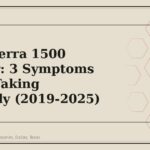 GMC Sierra 1500 Interior: 3 Symptoms Worth Taking Seriously (2019-2025) - GM Parts Club