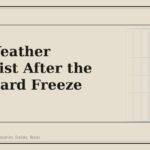 Cold Weather Checklist After the First Hard Freeze (2026) - GM Parts Club
