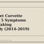 Chevrolet Corvette Brakes: 5 Symptoms Worth Taking Seriously (2014-2019) - GM Parts Club